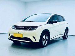 BYD Dolphin 420km Fashion Edition - ფოტო 1
