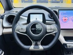 BYD Dolphin 420km Fashion Edition - ფოტო 19
