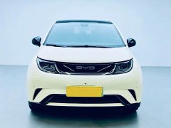 BYD Dolphin 420km Fashion Edition - ფოტო 2