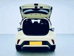 BYD Dolphin 420km Fashion Edition - ფოტო 9