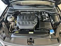 Volkswagen Magotan 2 Million Units Commemorative Edition 330TSI DSG Leading Version - ფოტო 17