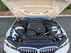 BMW 3 Series 320Li M Sport Package - ფოტო 19
