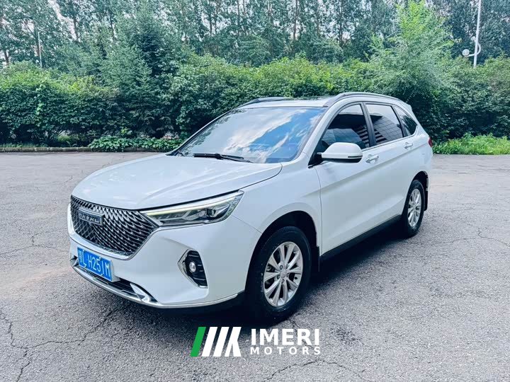 Haval M6 PLUS 1.5T DCT Luxury Smart Connected Edition - ავტომობილი ჩინეთიდან
