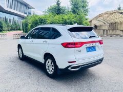 Haval M6 PLUS 1.5T DCT Luxury Smart Connected Edition - ფოტო 4