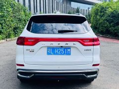 Haval M6 PLUS 1.5T DCT Luxury Smart Connected Edition - ფოტო 5