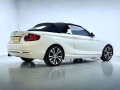 BMW 2 Series (Imported) 2019 225i Convertible Sports Design Package - ფოტო 4