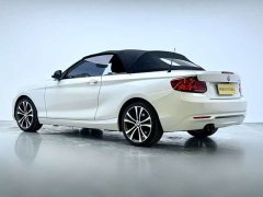 BMW 2 Series (Imported) 2019 225i Convertible Sports Design Package - ფოტო 6