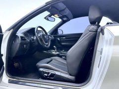 BMW 2 Series (Imported) 2019 225i Convertible Sports Design Package - ფოტო 8
