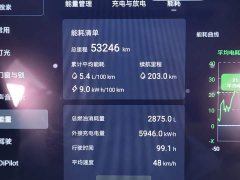 Denza D9 2022 DM-i 970 AWD Flagship - ფოტო 14