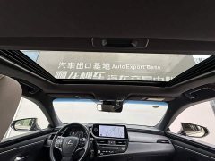 Lexus ES 2022 300h Excellence Edition - ფოტო 13