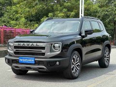 Great Wall Dachshund 2024 1.5T DCT Border Collie Edition - ფოტო 1