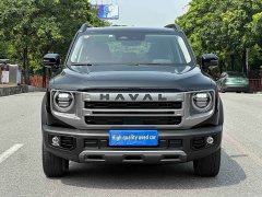 Great Wall Dachshund 2024 1.5T DCT Border Collie Edition - ფოტო 2
