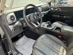 Tank 300 Off-Road Edition 2.0T Conqueror - ფოტო 8