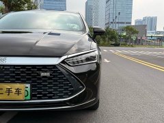 BYD Qin Plus DM-i 55KM Flagship - ფოტო 11