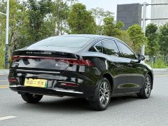 BYD Qin Plus DM-i 55KM Flagship - ფოტო 14
