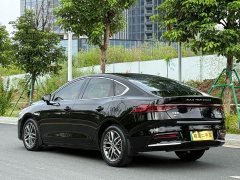 BYD Qin Plus DM-i 55KM Flagship - ფოტო 15
