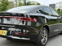 BYD Qin Plus DM-i 55KM Flagship - ფოტო 16