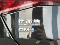 BYD Qin Plus DM-i 55KM Flagship - ფოტო 17