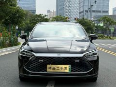 BYD Qin Plus DM-i 55KM Flagship - ფოტო 2