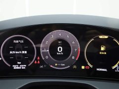 Porsche Panamera Executive Extended Wheelbase 2.9T - ფოტო 10