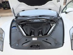 Porsche Panamera Executive Extended Wheelbase 2.9T - ფოტო 19