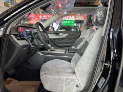 FAW Red Flag HS5 2025 2.0T Two-Wheel Drive 600,000 Units Anniversary Edition - ფოტო 11