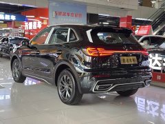 FAW Red Flag HS5 2025 2.0T Two-Wheel Drive 600,000 Units Anniversary Edition - ფოტო 18