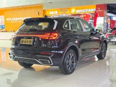 FAW Red Flag HS5 2025 2.0T Two-Wheel Drive 600,000 Units Anniversary Edition - ფოტო 20