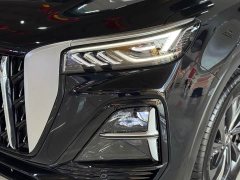 FAW Red Flag HS5 2025 2.0T Two-Wheel Drive 600,000 Units Anniversary Edition - ფოტო 4