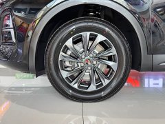 FAW Red Flag HS5 2025 2.0T Two-Wheel Drive 600,000 Units Anniversary Edition - ფოტო 5