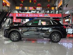 FAW Red Flag HS5 2025 2.0T Two-Wheel Drive 600,000 Units Anniversary Edition - ფოტო 6