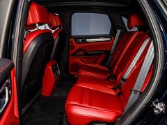 Porsche Cayenne New Energy Cayenne E-Hybrid 2.0T Platinum Edition - ფოტო 10