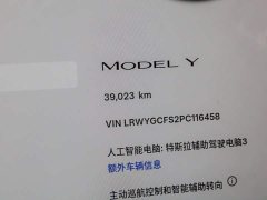 Tesla Model Y 2022 Facelift Rear-Wheel Drive - ფოტო 17