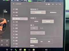 Tesla Model Y Rear-Wheel Drive - ფოტო 20