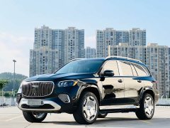 Mercedes-Benz GLS 2024 GLS 450 4MATIC Luxury - ფოტო 18