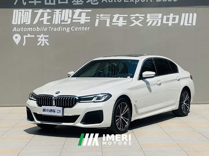 BMW 5 Series 530Li Premier M Sport Package - ავტომობილი ჩინეთიდან