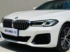 BMW 5 Series 530Li Premier M Sport Package - ფოტო 19