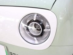 ORA Black Cat 301km Cute Pet Edition LFP Battery - ფოტო 16