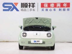 ORA Black Cat 301km Cute Pet Edition LFP Battery - ფოტო 17