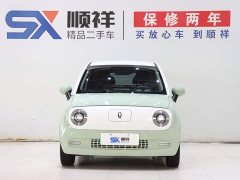 ORA Black Cat 301km Cute Pet Edition LFP Battery - ფოტო 2