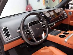 Li Auto L6 Pro - photo 10