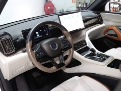BYD Song Pro New Energy 2022 DM-i 51km Premium - ფოტო 10