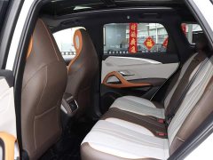 BYD Song Pro New Energy 2022 DM-i 51km Premium - ფოტო 11