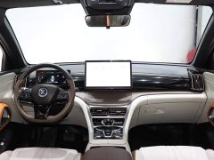 BYD Song Pro New Energy 2022 DM-i 51km Premium - ფოტო 12