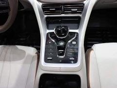 BYD Song Pro New Energy 2022 DM-i 51km Premium - ფოტო 15