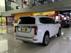 Tank 500 3.0T Business Edition Landscape Trim 5-Seater - ფოტო 20