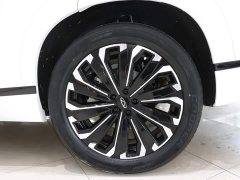 Chery Tiggo 9 2023 2.0T DCT FWD Luxury 5-Seater - ფოტო 20