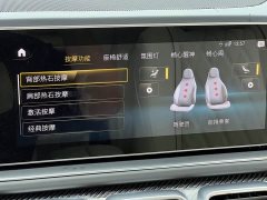 Mercedes-Benz GLS AMG GLS 63 4MATIC - ფოტო 19
