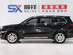 Ford Lingyue Lingyù EcoBoost 225 Platinum Edition 7-seater (2/2/3) - ფოტო 6