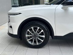 BMW Ford Edge 2023 Edge L 2.0T EcoBoost FWD Seven-Seat Luxury - ფოტო 5